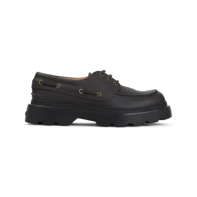 Tod's Classic Brown Leather Laced Shoes In Black