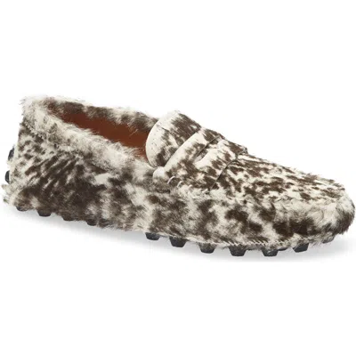 Tod's Genuine Calf Hair Penny Loafer