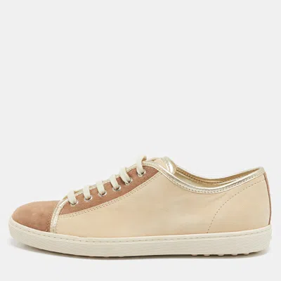 Tod's Gold/beige Suede Lace Up Sneakers In Brown