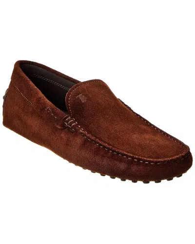 Tod's Gommini Suede Driver In Brown
