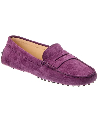 Tod's Gommini Suede Loafer In Purple