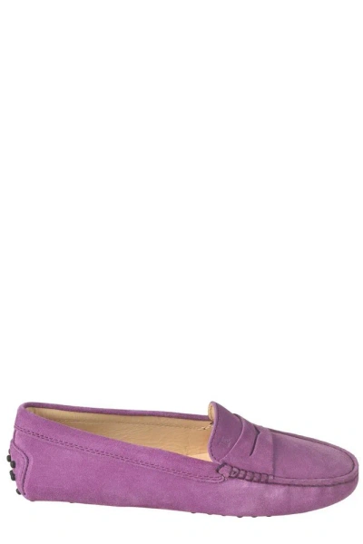 Tod's Gommino Driving Loafers In Purple