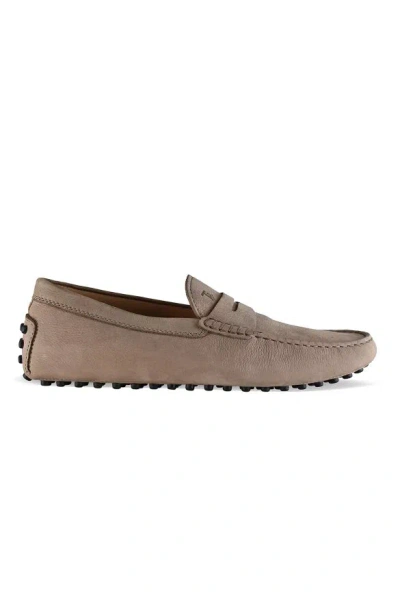 Tod's Gommino Loafers In Brown