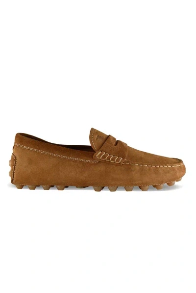 Tod's Gommino Loafers In Brown