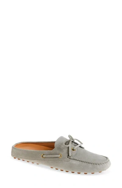 Tod's Glove Gommino Loafers In Suede In Gray