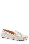 Tod's Snake-effect Leather Driving Loafers In Gray