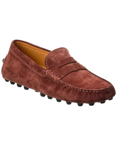 Tod's Gommino Suede Driver In Brown