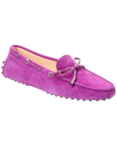 Tod's Tods Gommino Suede Loafer In Purple