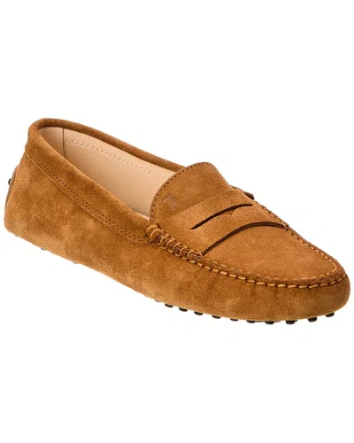 Tod's Gommino Suede Loafer In Brown