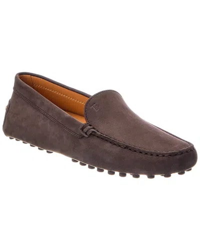 Tod's Gommino Suede Loafer In Brown
