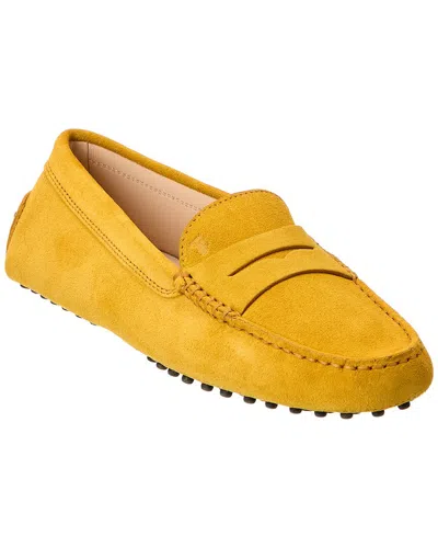 Tod's Gommino Suede Loafer In Yellow