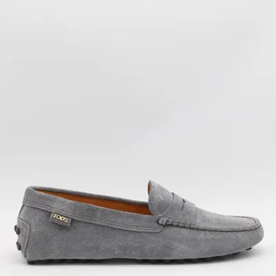 Tod's Grey Loafers In Multicolor