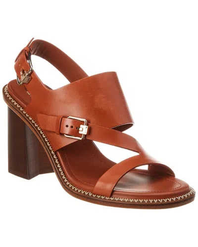 Tod's Leather Sandal In Brown