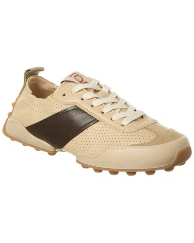 Tod's Leather Sneaker In Sand
