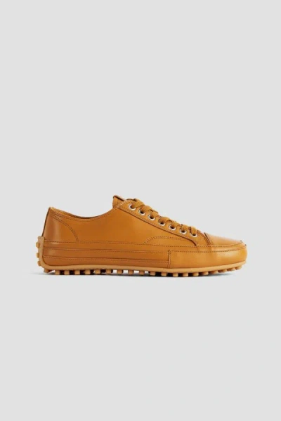 Tod's Leather With Rubber Pebble Sole Sneaker In Brown