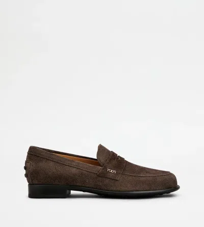 Tod's Loafer In Brown