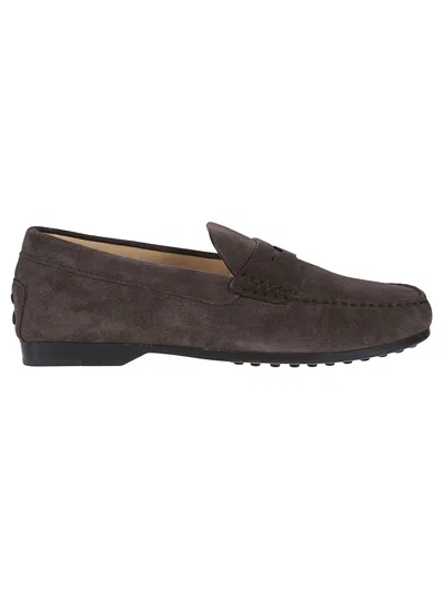 Tod's Loafers In Brown