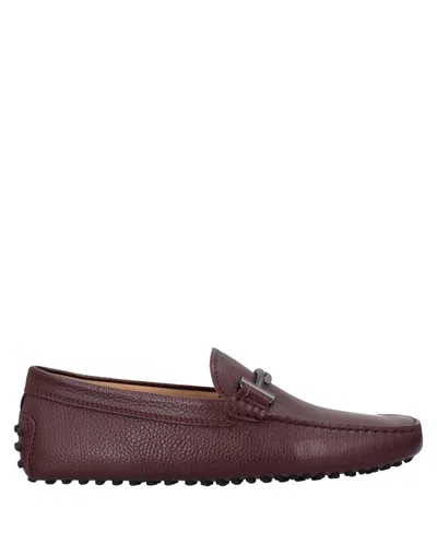 Tod's Loafers In Purple