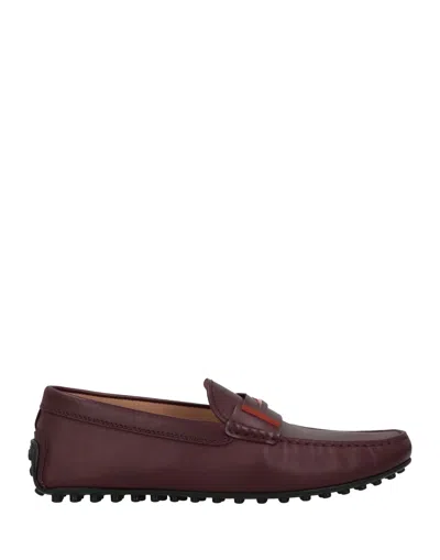Tod's Man Loafers Plum Size 8.5 Soft Leather In Purple