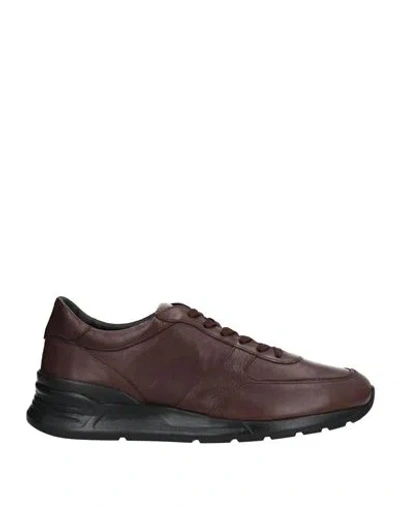 Tod's Man Sneakers Dark Brown Size 8.5 Soft Leather