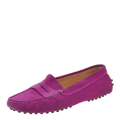 Tod's Purple Suede Penny Slip On Loafers In Animal Print
