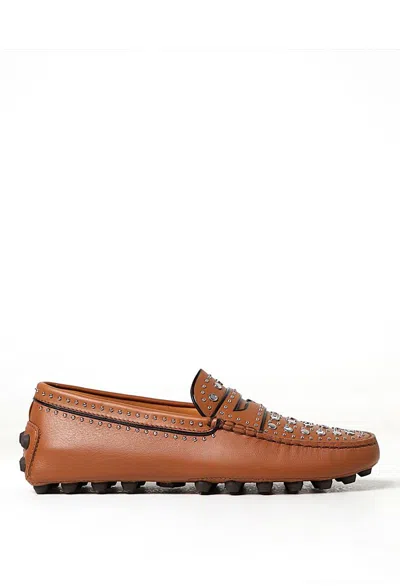 Tod's Shoes