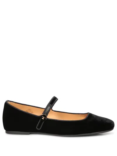 Tod's Shoes