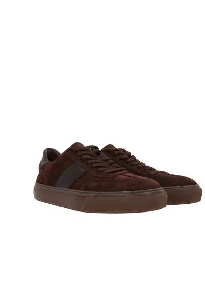 Tod's Sneakers In Brown Africa + Coffee