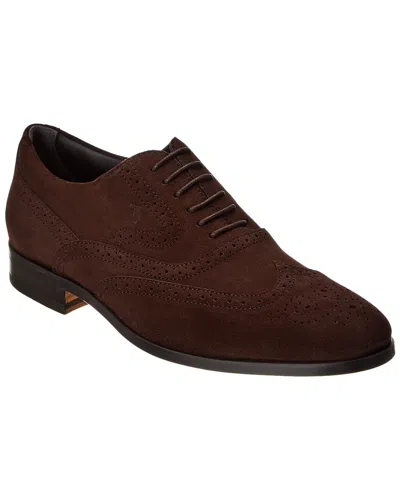 Tod's Suede Derby In Brown
