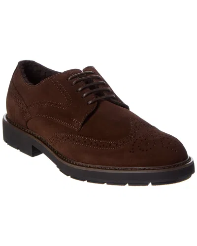 Tod's Suede Derby In Brown