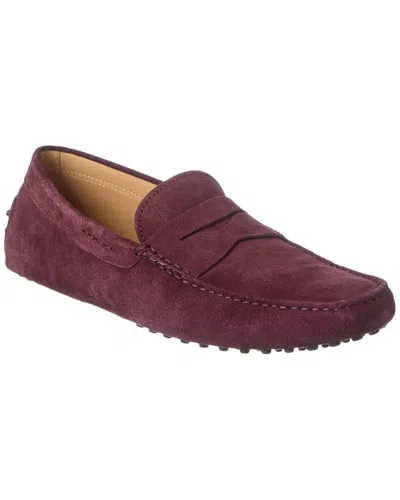 Tod's Suede Driver In Brown