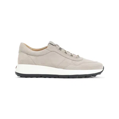 Tod's Tortora Suede Sneakers In Neutral