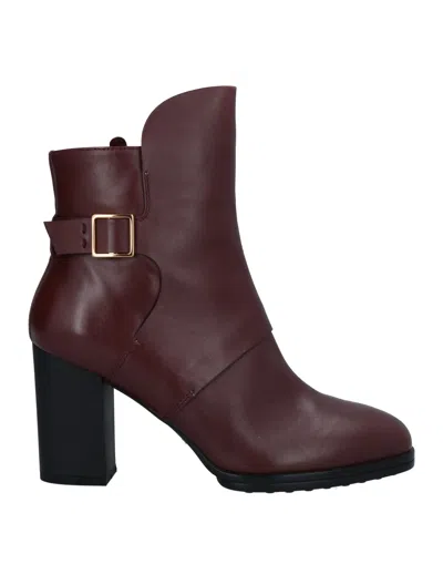 Tod's Ankle Boots In Brown