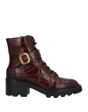 Tod's Woman Ankle Boots Brown Size 6 Leather