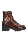 Tod's Woman Ankle Boots Brown Size 6 Leather