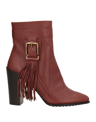 Tod's Ankle Boots In Brown