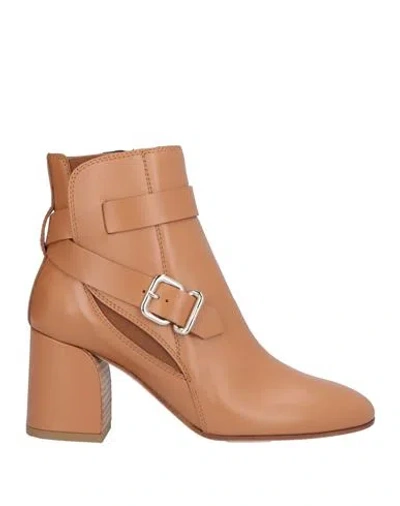 Tod's Woman Ankle Boots Camel Size 7 Leather In Beige