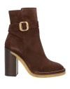 Tod's Woman Ankle Boots Cocoa Size 6.5 Soft Leather In Brown