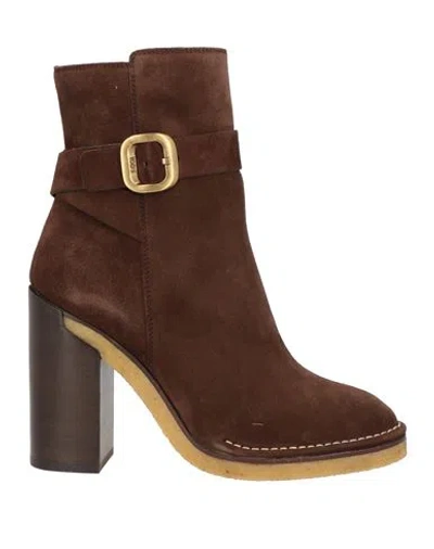 Tod's Woman Ankle Boots Chocolate Brown Size 6 Leather