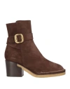 Tod's Ankle Boots In Brown