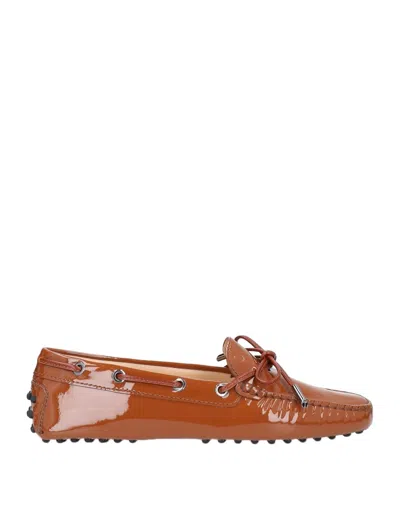 Tod's Loafers In Brown