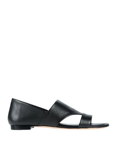 Tod's Sandals In Black