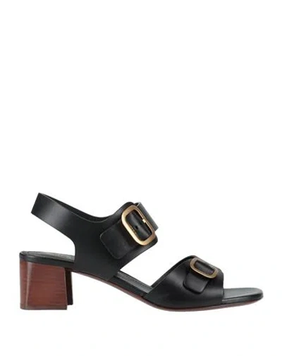 Tod's Woman Sandals Black Size 7.5 Soft Leather