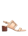 Tod's Perforated 55mm Leather Sandals In Pink