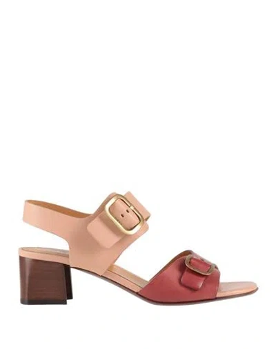 Tod's Woman Sandals Blush Size 7 Leather In Pink