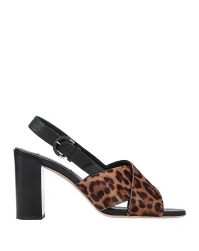Tod's Woman Sandals Brown Size 8 Calfskin