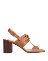 Tod's Pump Sandals In Brown