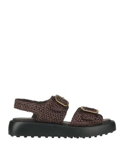 Tod's Woman Sandals Chocolate Brown Size 5.5 Textile Fibers