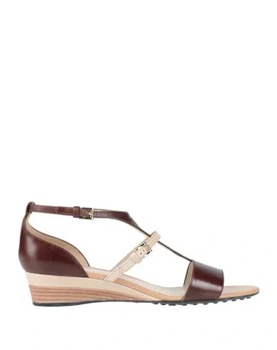 Tod's Woman Sandals Dark Brown Size 9 Leather