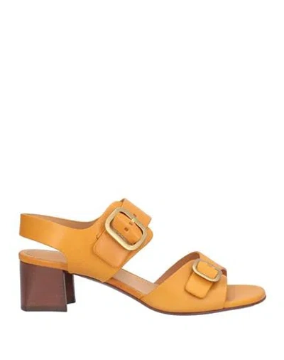 Tod's Woman Sandals Tan Size 7 Leather In Brown